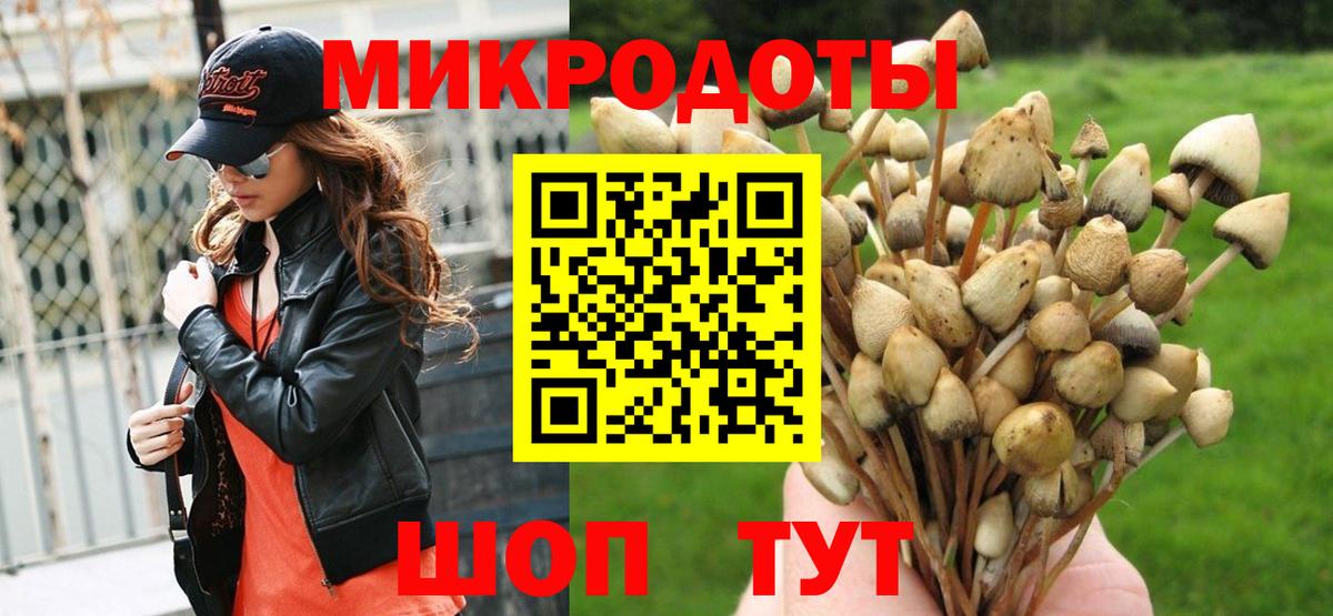 купить   Псилоцибиновые грибы мицелий  Псилоцибиновые грибы Psilocybe  Вход с VPN  Красноармейск 